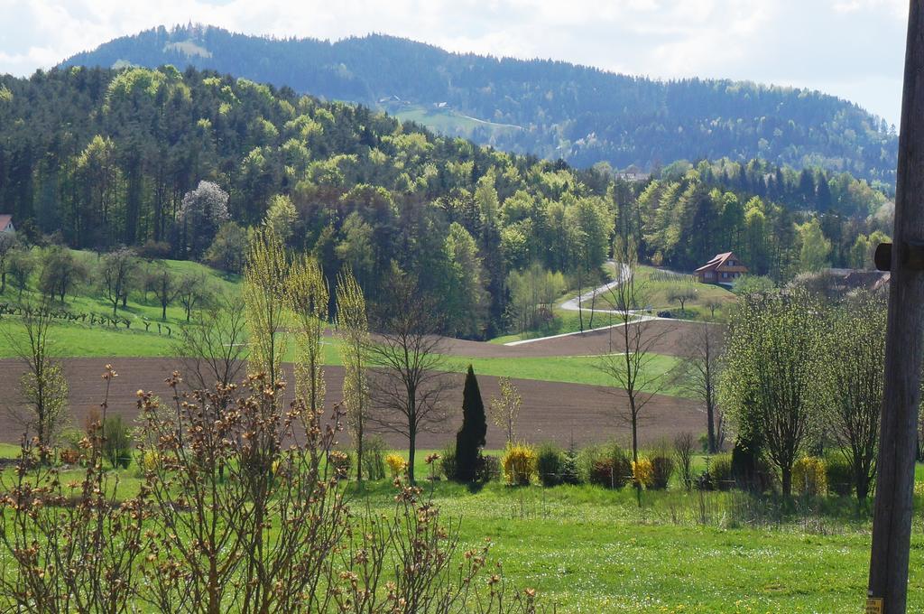 Pension Wolkenreich Oberhaag Экстерьер фото